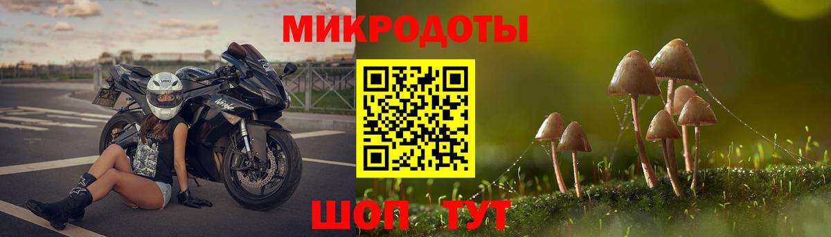 Псилоцибиновые грибы Psilocybe Углич
